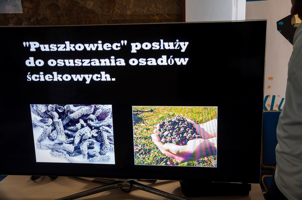 IV Festiwalu Nauki i Techniki. Fot. Piotr Dymiński