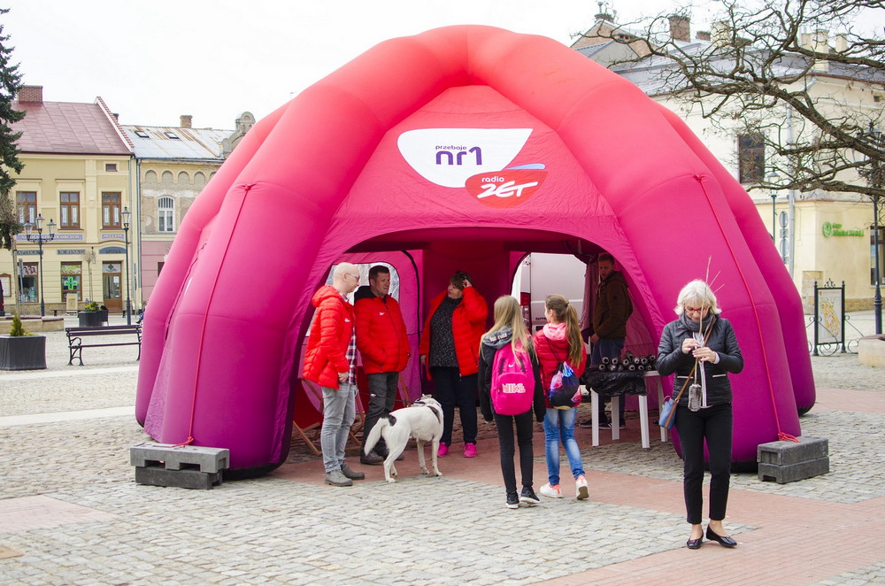 Radio ZET rozdawało w Krośnie sadzonki polskich dębów. Fot. Karol Słomka