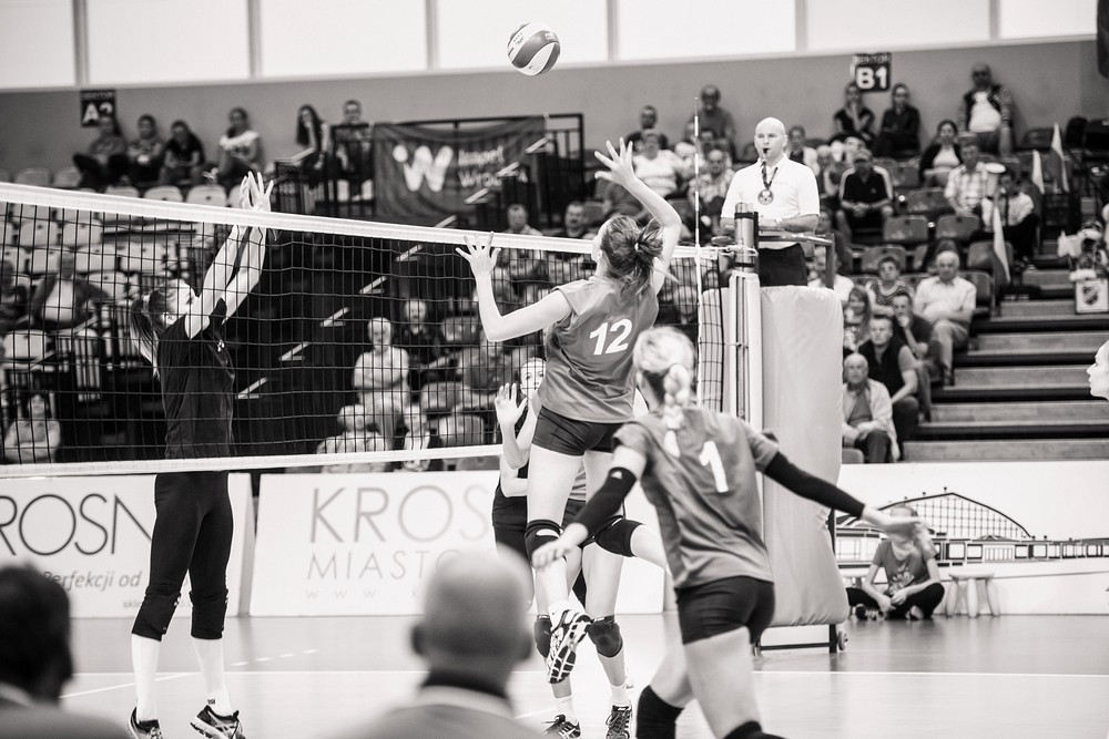 Impel Wrocław 3:2 Polski Cukier Muszynianka. Fot. Łukasz Jaracz