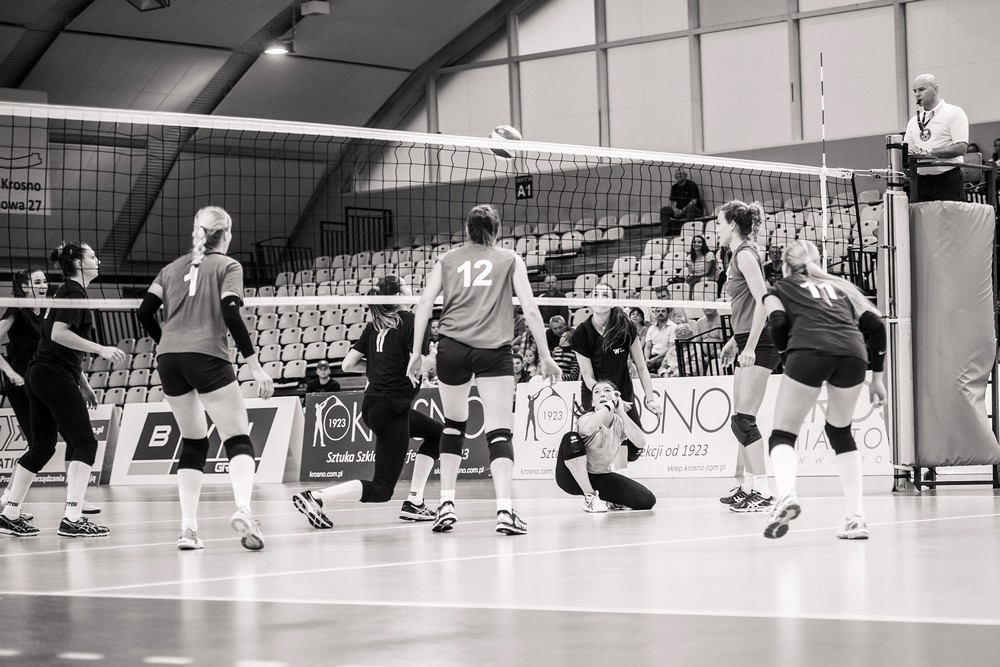 Impel Wrocław 3:2 Polski Cukier Muszynianka. Fot. Łukasz Jaracz
