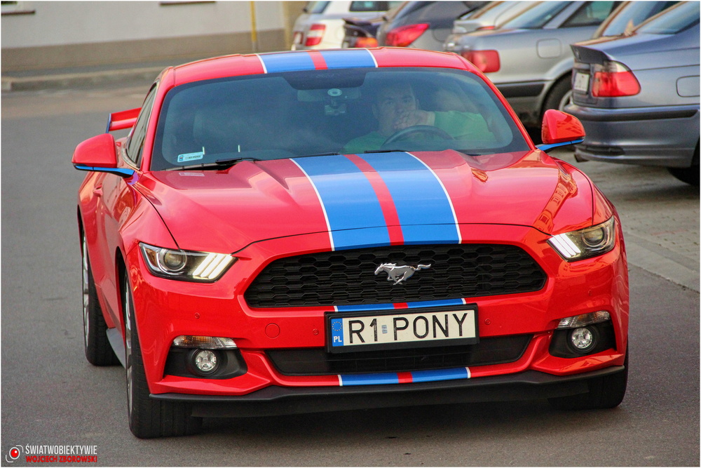 II zlot podkarpackich Mustangów w Korczynie. Fot. Wojciech Zborowski