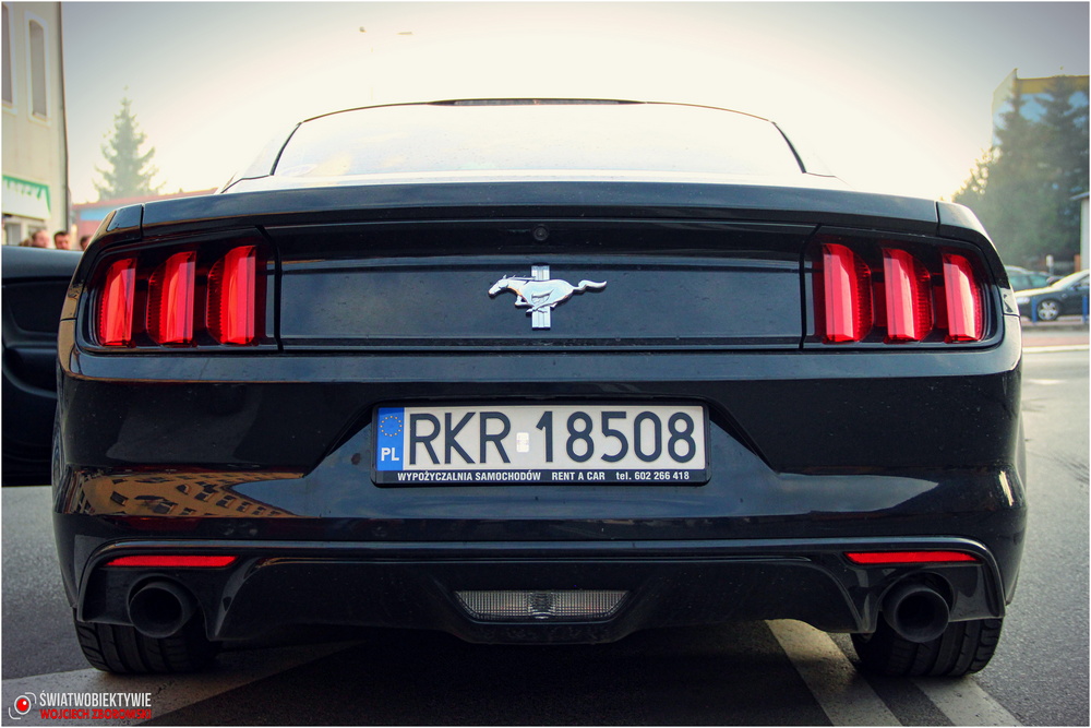 II zlot podkarpackich Mustangów w Korczynie. Fot. Wojciech Zborowski
