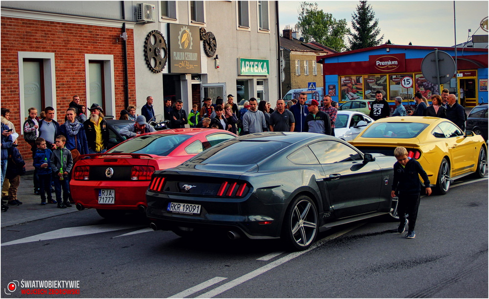 II zlot podkarpackich Mustangów w Korczynie. Fot. Wojciech Zborowski