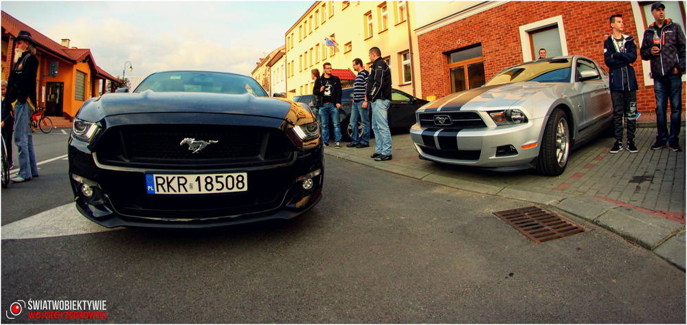 II zlot podkarpackich Mustangów w Korczynie. Fot. Wojciech Zborowski