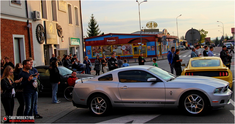 II zlot podkarpackich Mustangów w Korczynie. Fot. Wojciech Zborowski