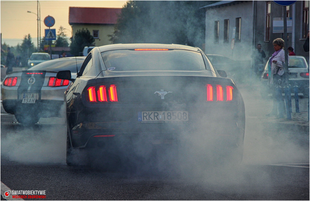 II zlot podkarpackich Mustangów w Korczynie. Fot. Wojciech Zborowski