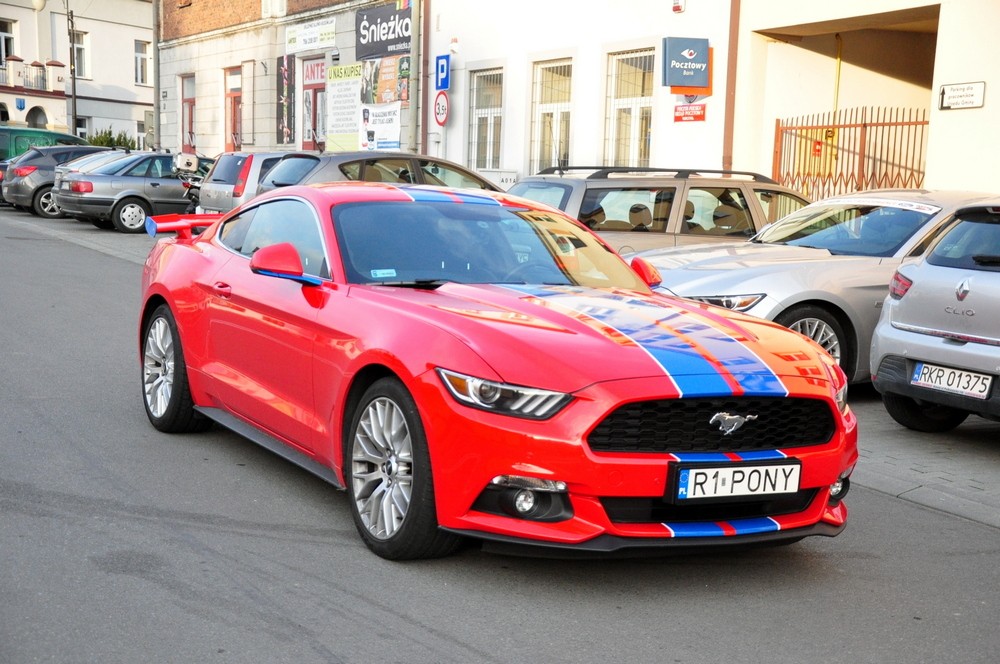 II zlot podkarpackich Mustangów w Korczynie. Fot. Piotr Dymiński